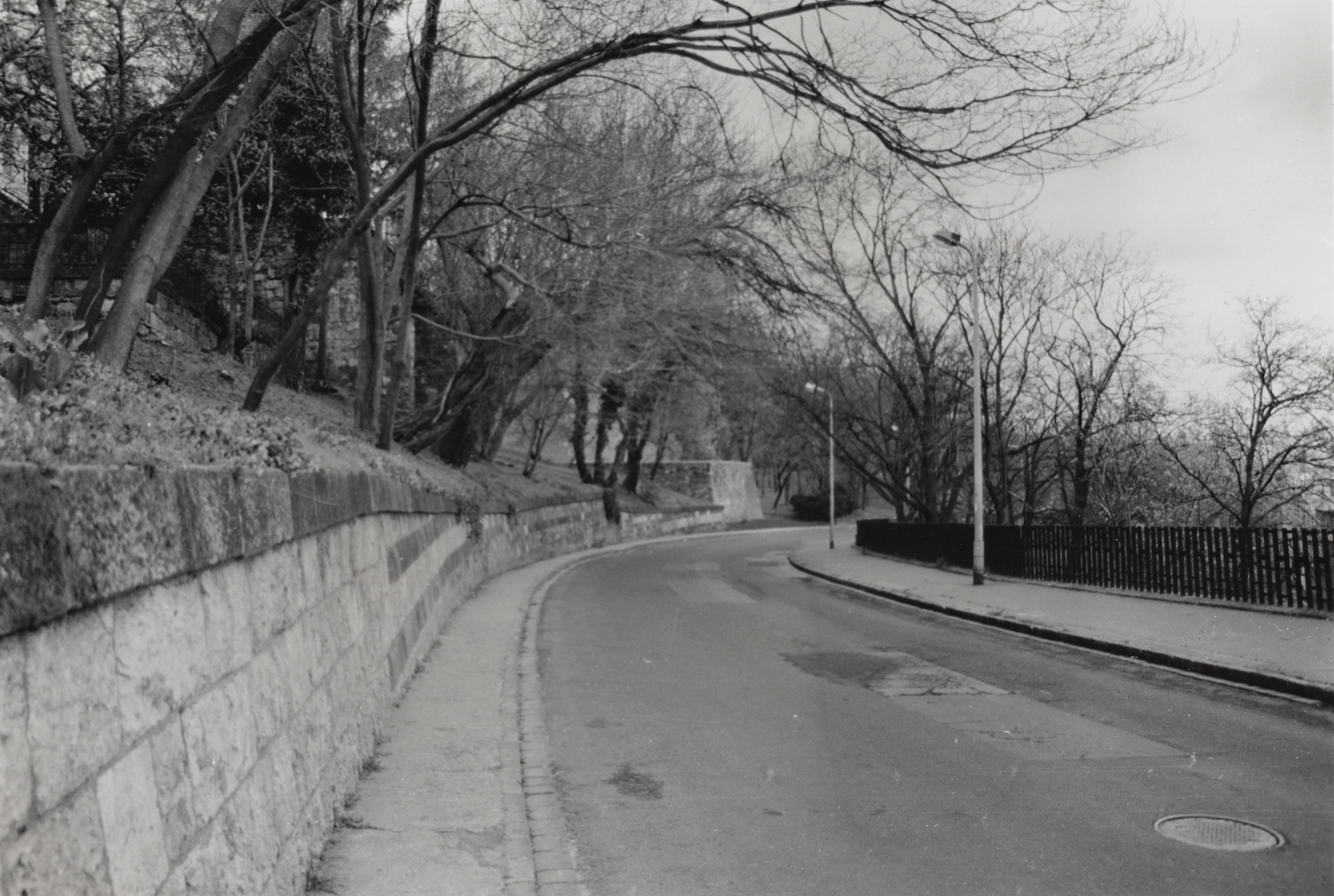 black and white 35mm print; on a street in budapest (buda) built into the hillside; the photo is shot looking down a hill and the road curves to the right and behind the iron fence on the right; there are sidewalks on bath sides and street lamps on the right; on hte left above the road is a stone retaining wall securing a vegetated slope above with many leafless trees that curve out and over the road; the overcast sky is visible in the top right corner above trees growing below